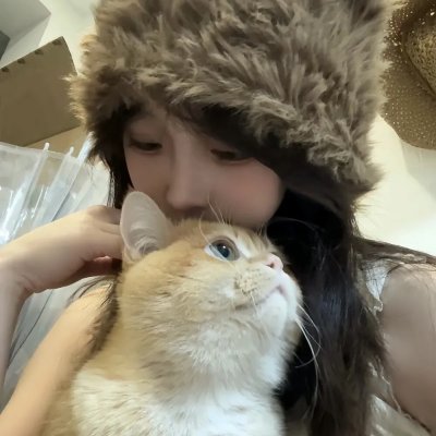 我家来了个小房客